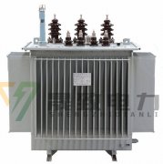 油浸式變壓器油位的變化與哪些因素有關(guān)?